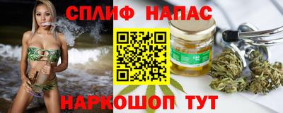 гашик Беслан