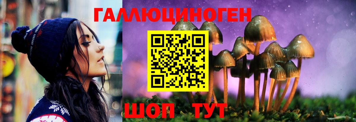 Псилоцибиновые грибы мицелий  Вход с VPN  Ишим  дарнет шоп  Псилоцибиновые грибы Psilocybine cubensis 